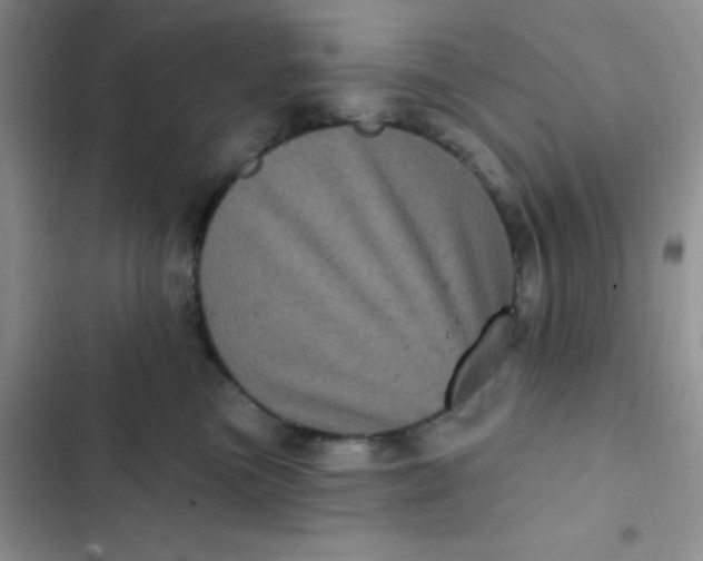 X0000102530473200808221909