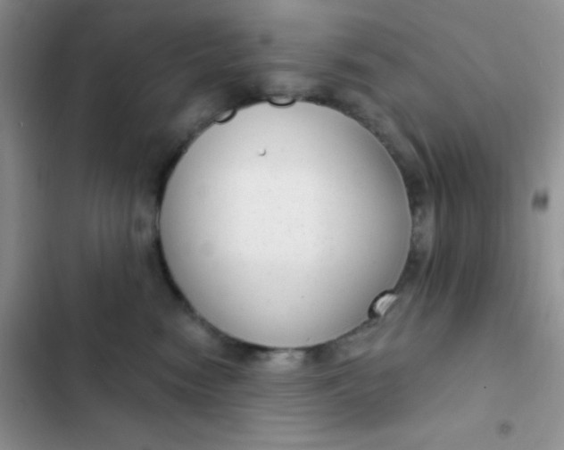 X0000102530474200808221909