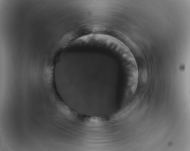 X0000102530475200808221909