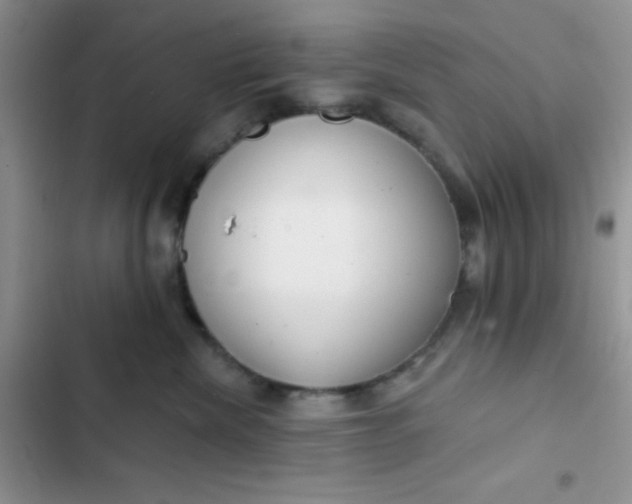 X0000102530476200808221909