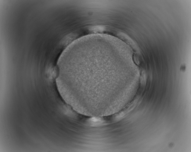 X0000102530477200808221909