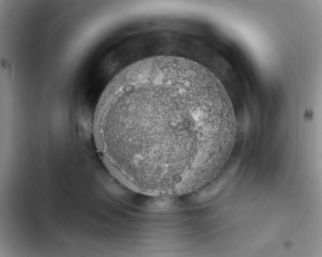 X0000102530479200808221909