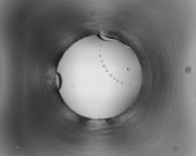 X0000102530480200808221909