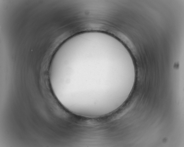 X0000102530481200808221909