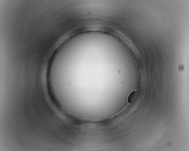 X0000102530482200808221909