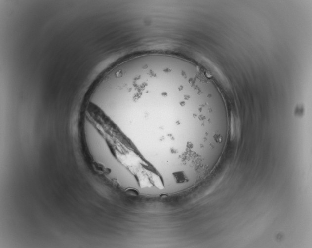 X0000102530483200808221909