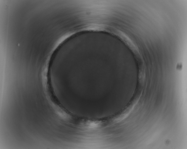 X0000102530484200808221909