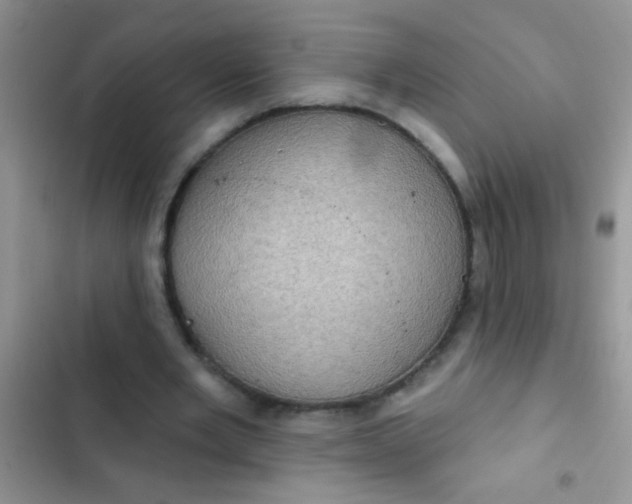 X0000102530485200808221909