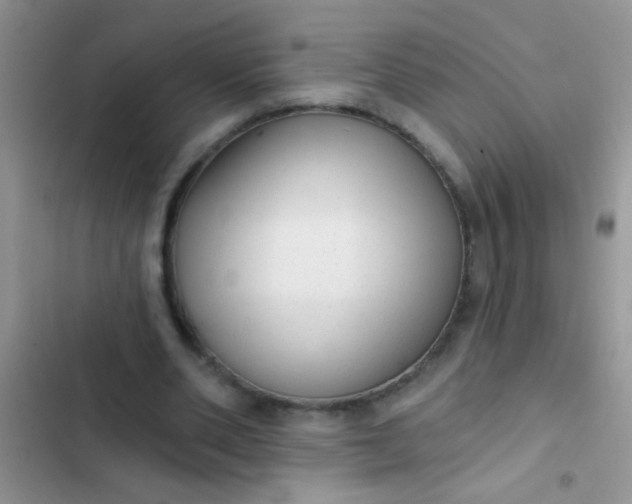 X0000102530486200808221908