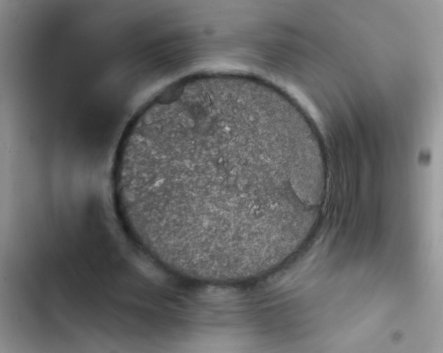 X0000102530487200808221908