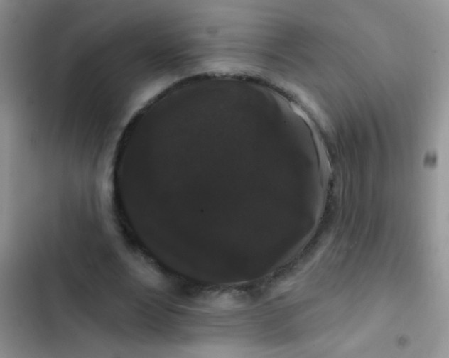 X0000102530488200808221908