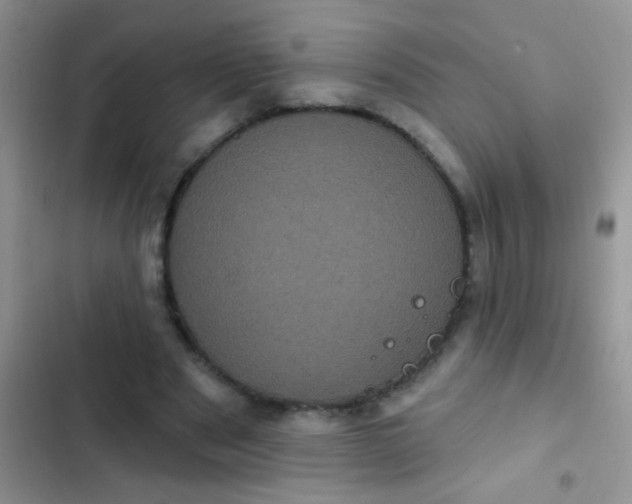 X0000102530489200808221908