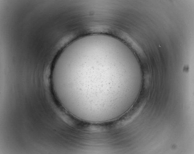 X0000102530490200808221908