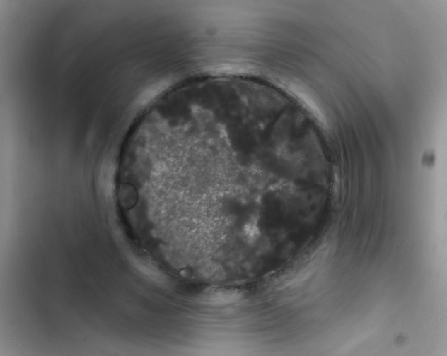 X0000102530491200808221908