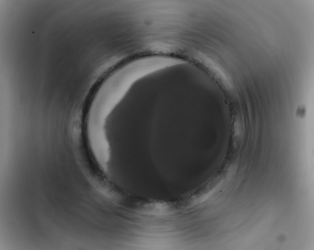 X0000102530492200808221908