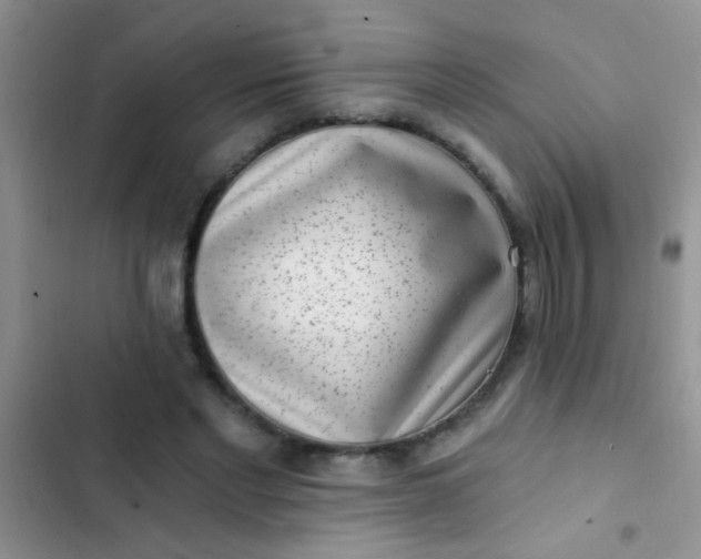 X0000102530493200808221908