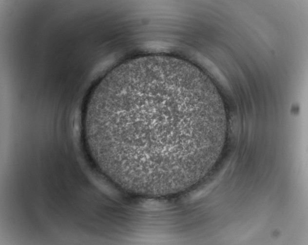 X0000102530494200808221908