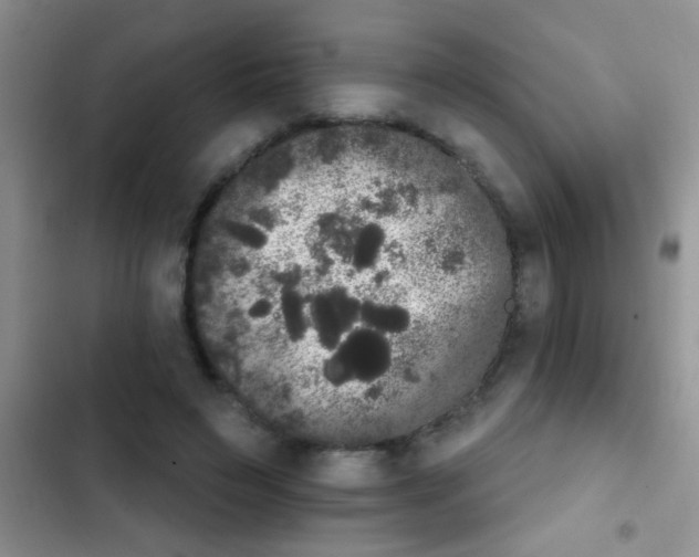 X0000102530495200808221908