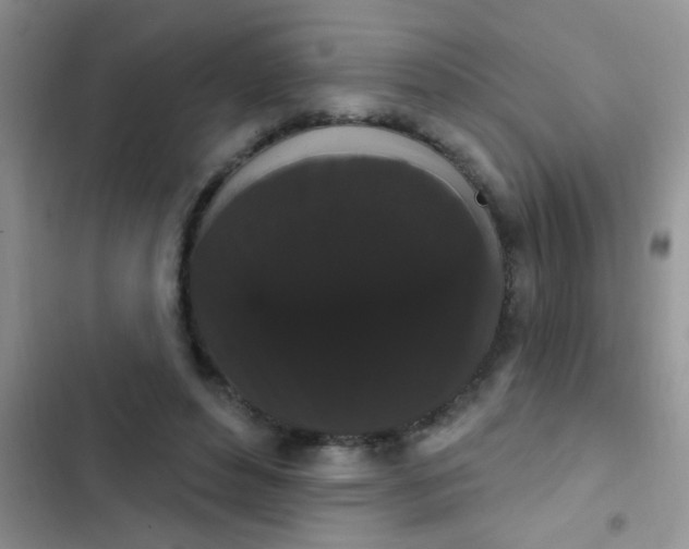 X0000102530496200808221908