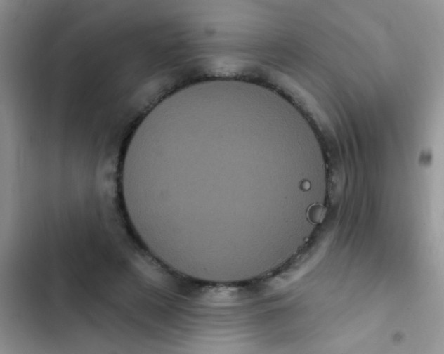 X0000102530497200808221908