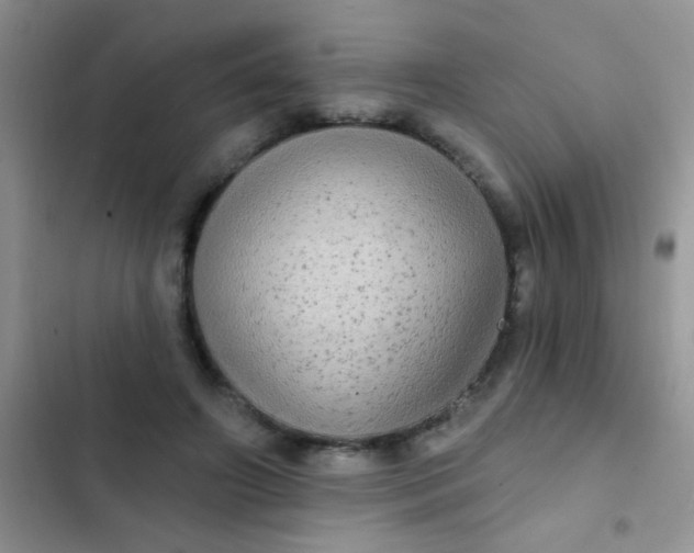 X0000102530498200808221908