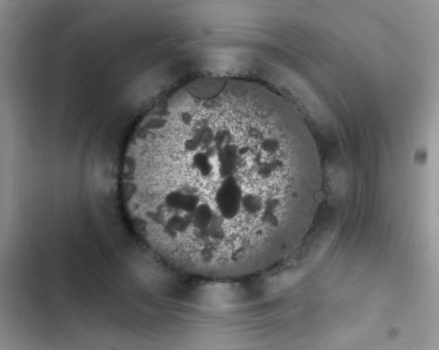 X0000102530499200808221908