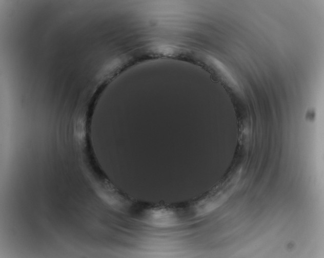 X0000102530500200808221908