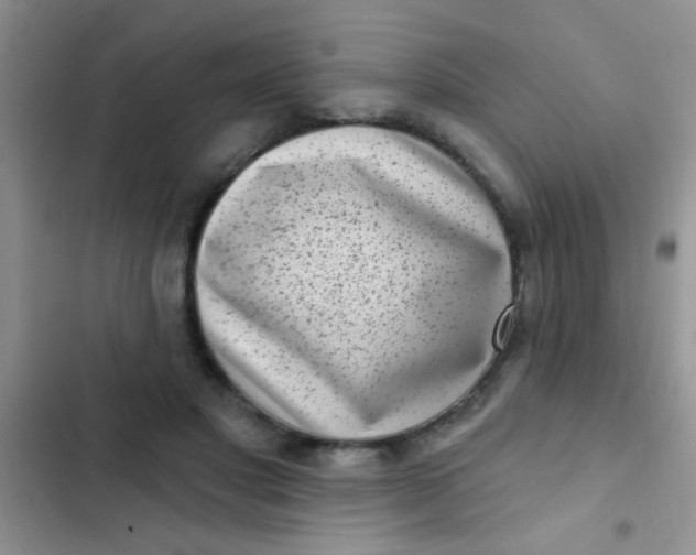 X0000102530501200808221908