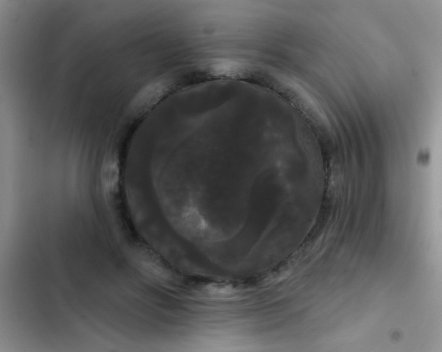 X0000102530502200808221908