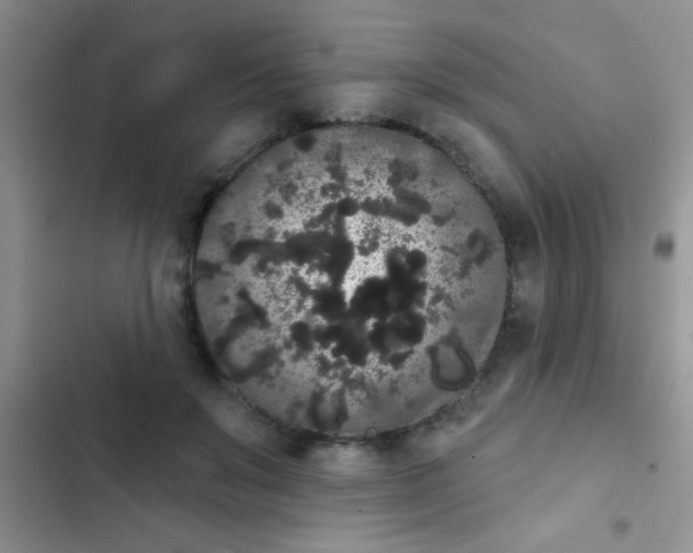 X0000102530503200808221908