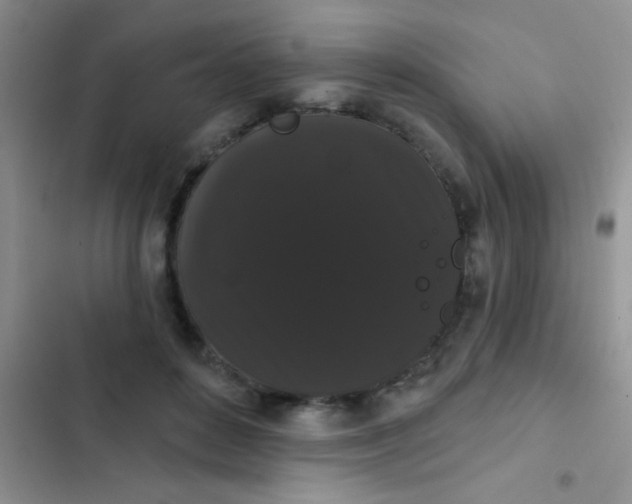 X0000102530504200808221908