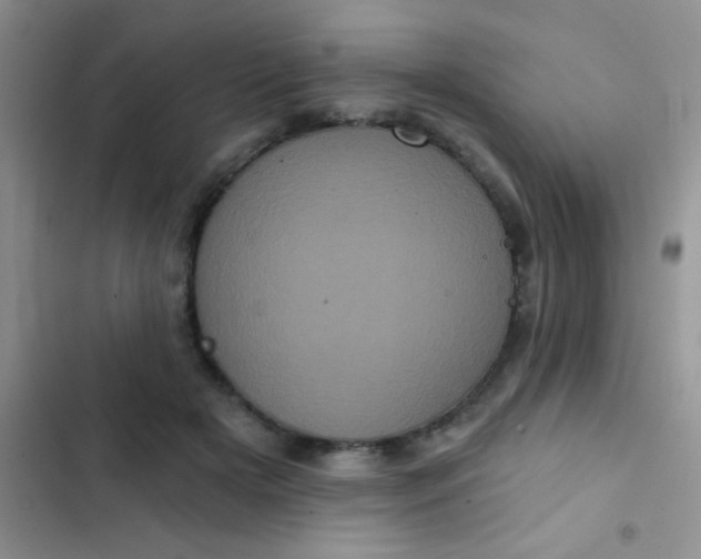 X0000102530505200808221908