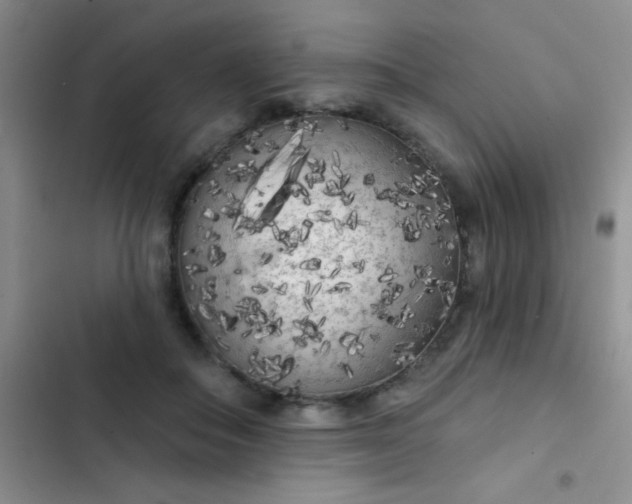 X0000102530506200808221908