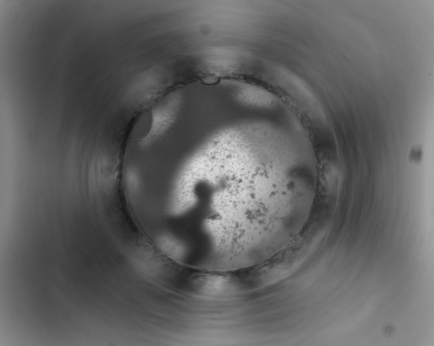 X0000102530507200808221908