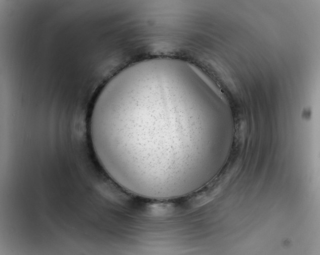 X0000102530508200808221908