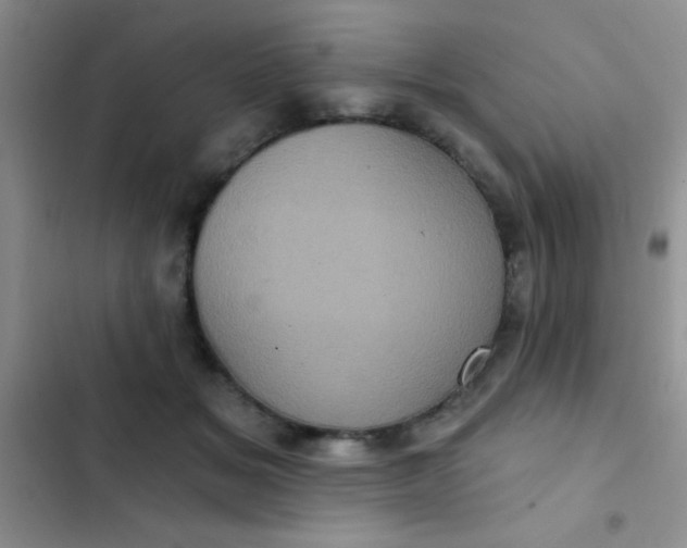 X0000102530509200808221908