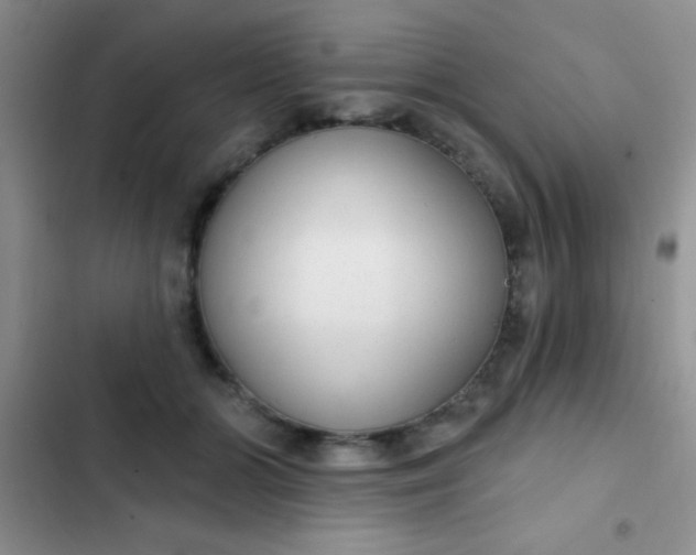 X0000102530510200808221908