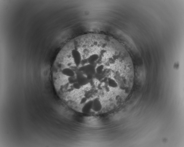 X0000102530511200808221908