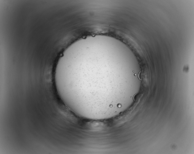 X0000102530512200808221908