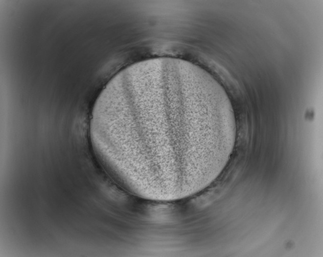 X0000102530513200808221908