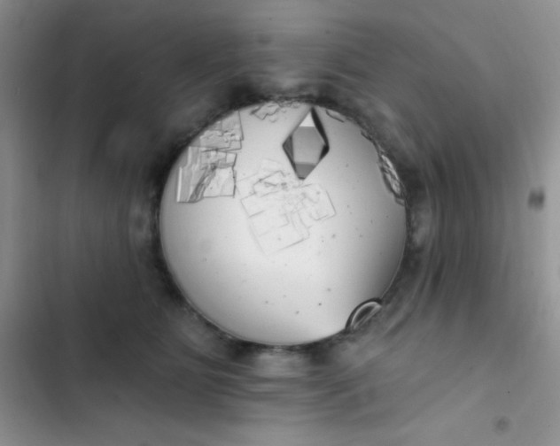 X0000102530515200808221908