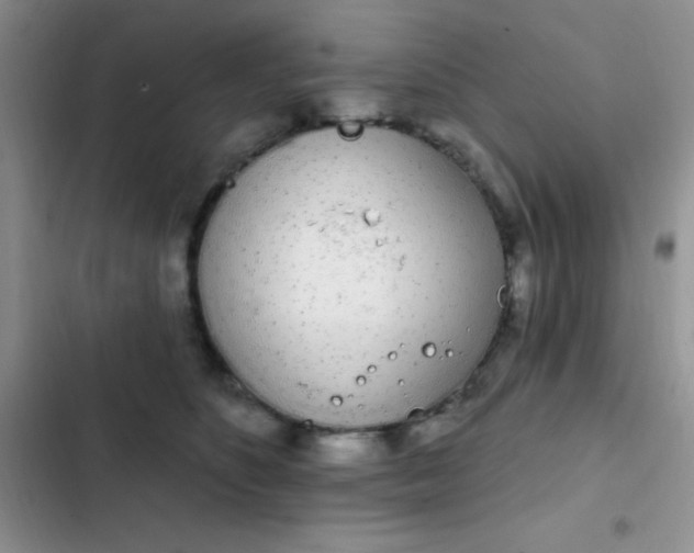 X0000102530516200808221908