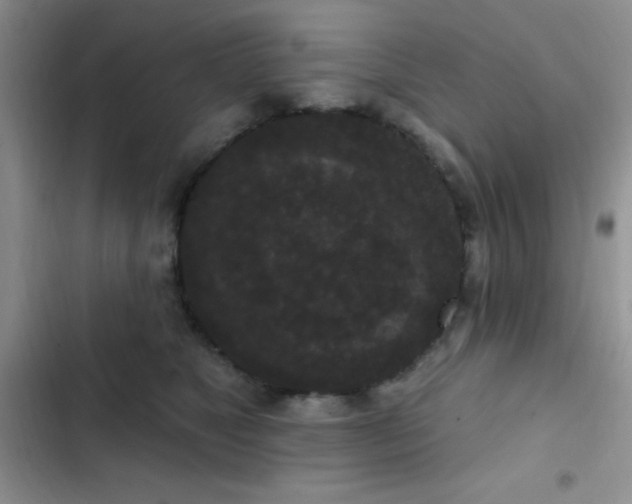 X0000102530517200808221908