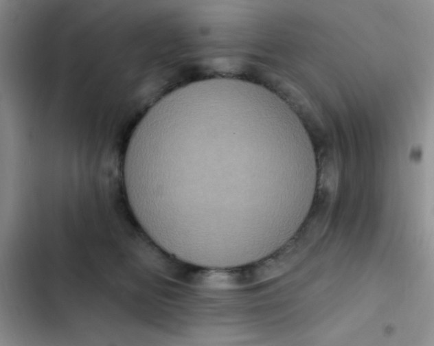 X0000102530518200808221908