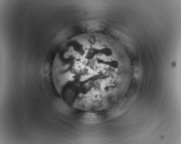 X0000102530519200808221908