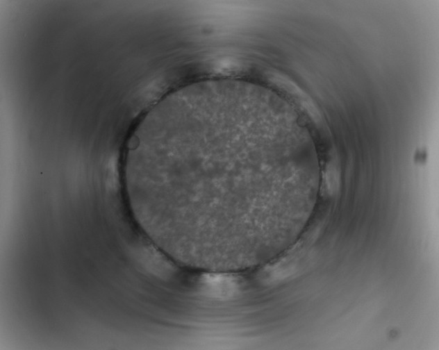 X0000102530520200808221908