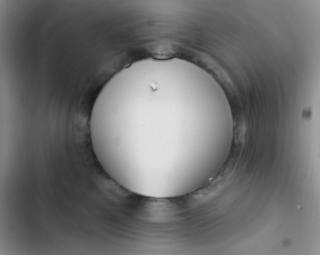 X0000102530521200808221908