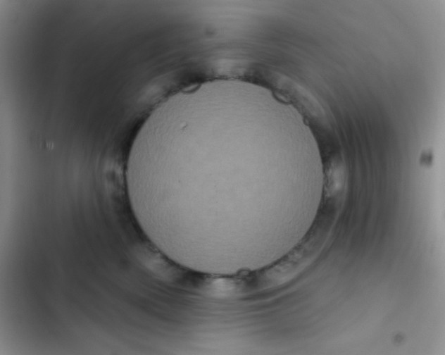 X0000102530522200808221908