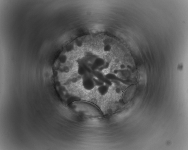 X0000102530523200808221908