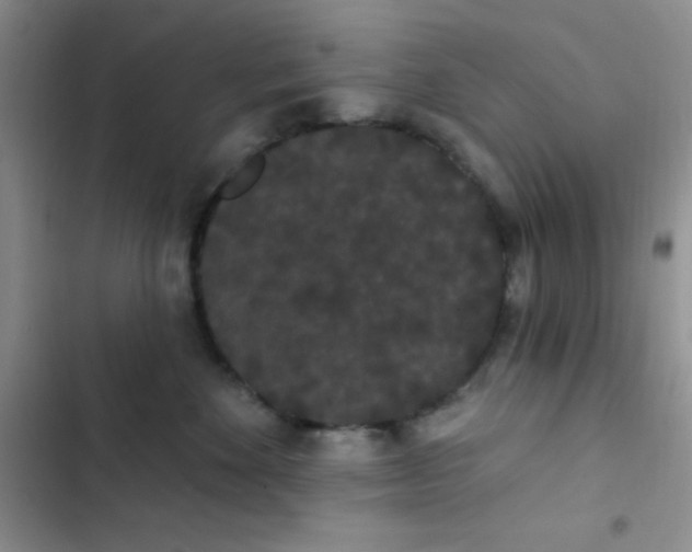 X0000102530524200808221908